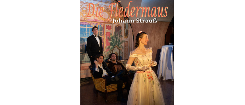 Die Fledermaus © Stanglmayr