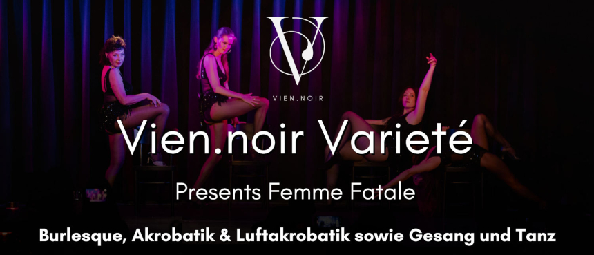 Viennoir 1500x644 © Opera Moderne Wien